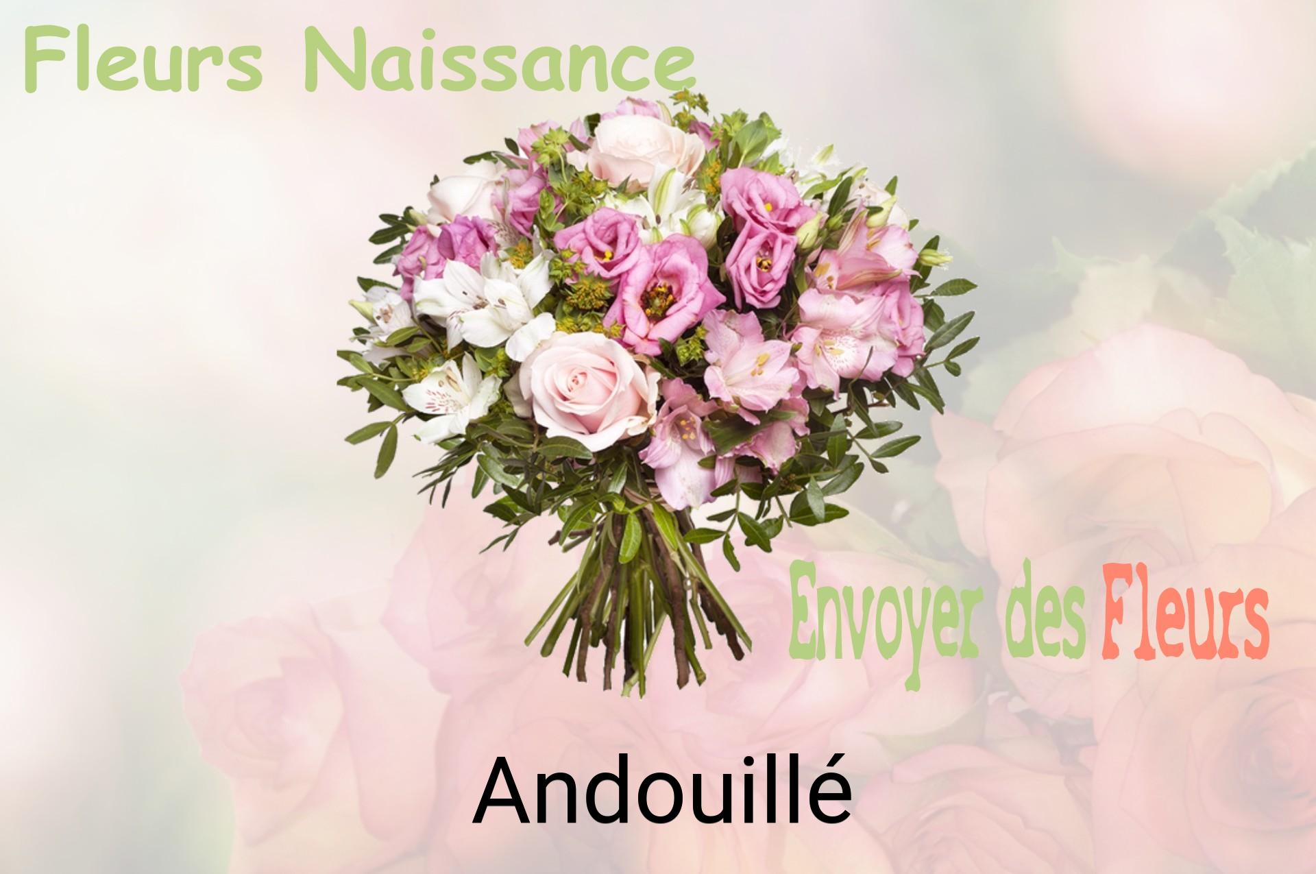 Bouquet de fleurs de naissance livré à Andouillé